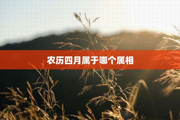 农历四月属于哪个属相