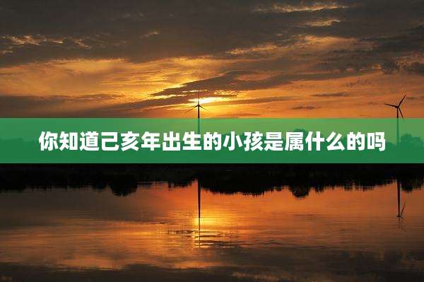 你知道己亥年出生的小孩是属什么的吗