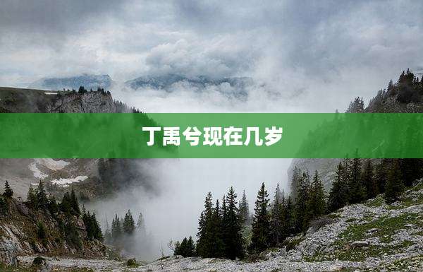 丁禹兮现在几岁
