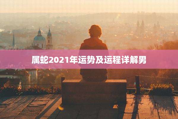 属蛇2021年运势及运程详解男