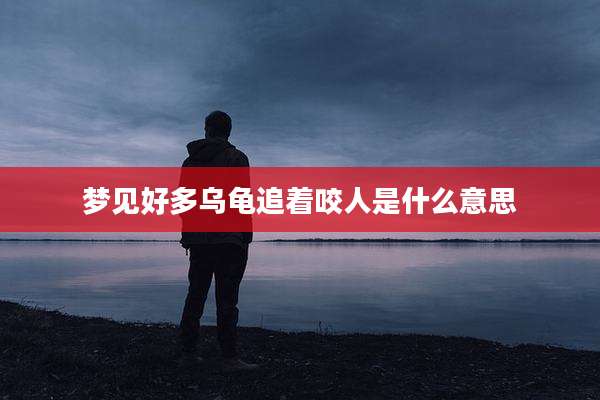 梦见好多乌龟追着咬人是什么意思