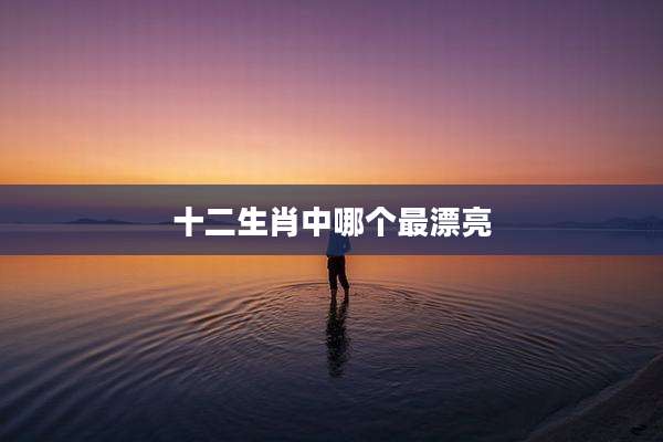 十二生肖中哪个最漂亮