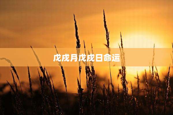 戊戌月戊戌日命运