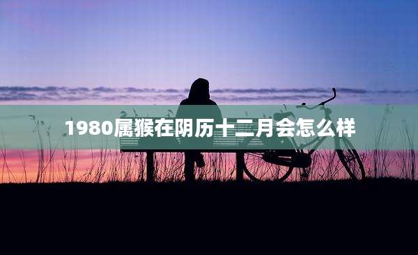 1980属猴在阴历十二月会怎么样