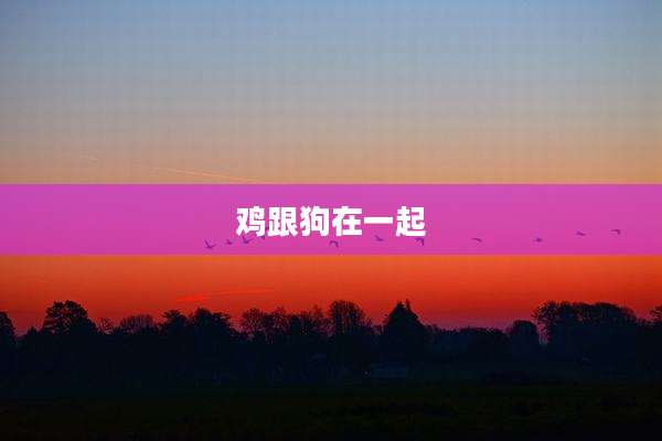 鸡跟狗在一起