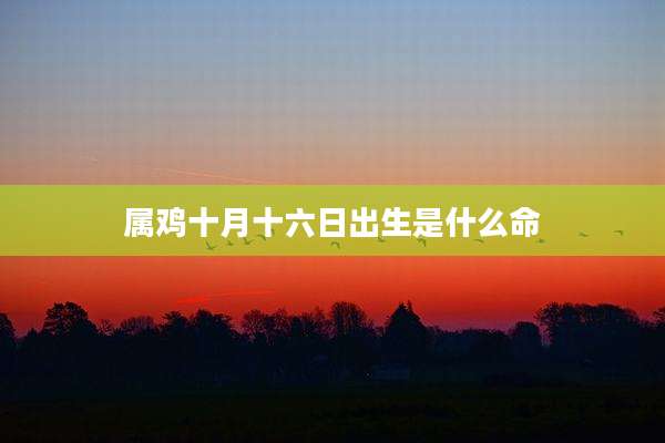 属鸡十月十六日出生是什么命