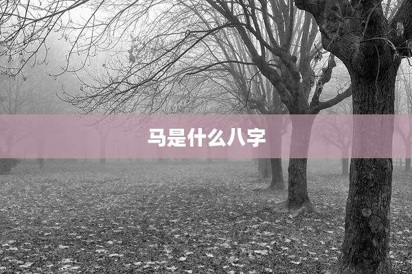 马是什么八字