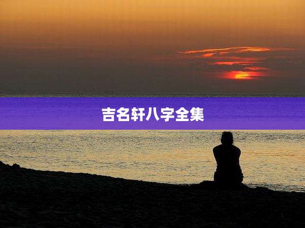吉名轩八字全集