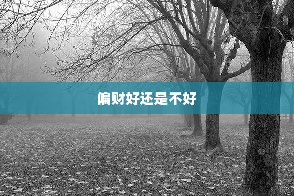 偏财好还是不好