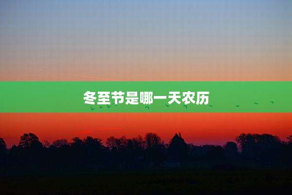 冬至节是哪一天农历