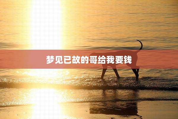 梦见已故的哥给我要钱