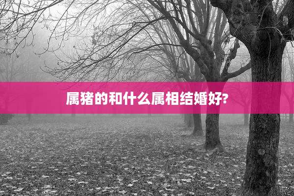 属猪的和什么属相结婚好?