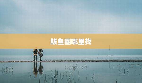 鲅鱼圈哪里找