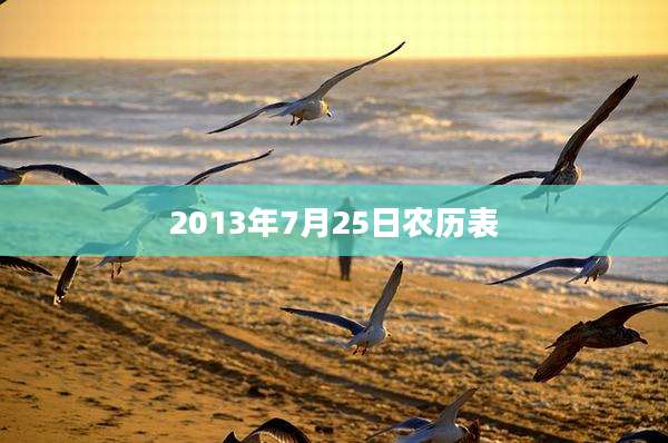 2013年7月25日农历表