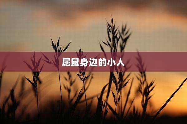 属鼠身边的小人