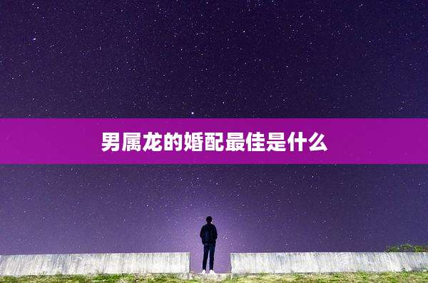 男属龙的婚配最佳是什么