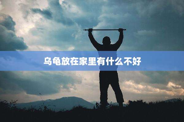 乌龟放在家里有什么不好