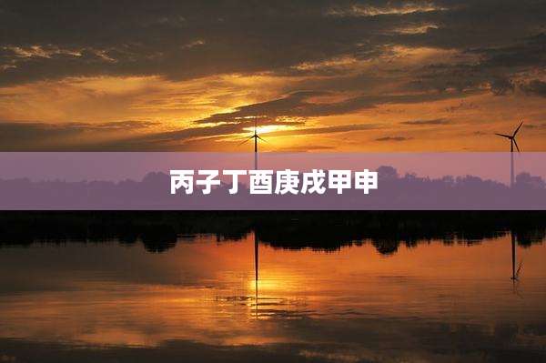 丙子丁酉庚戌甲申
