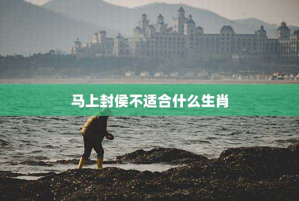 马上封侯不适合什么生肖