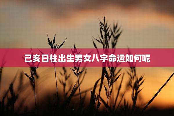 己亥日柱出生男女八字命运如何呢