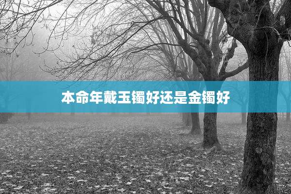 本命年戴玉镯好还是金镯好