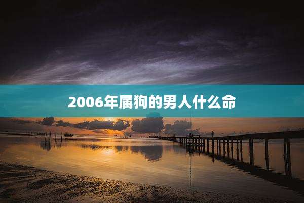 2006年属狗的男人什么命