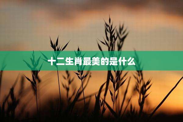 十二生肖最美的是什么