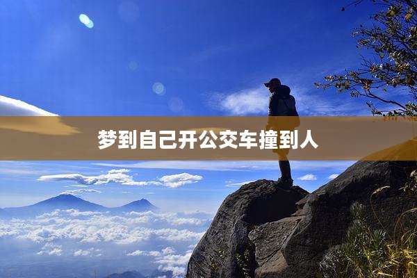 梦到自己开公交车撞到人
