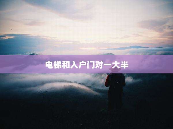 电梯和入户门对一大半