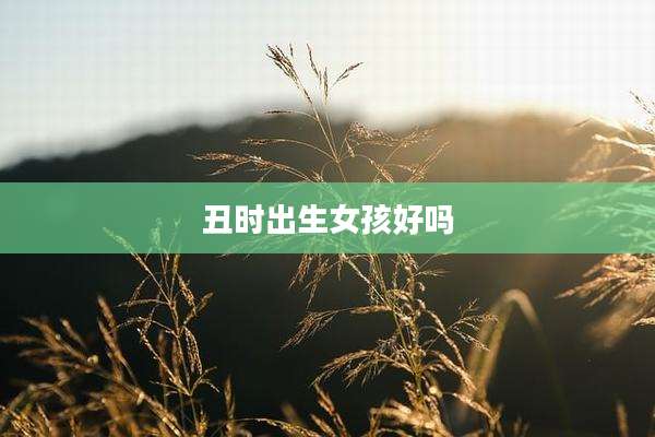 丑时出生女孩好吗