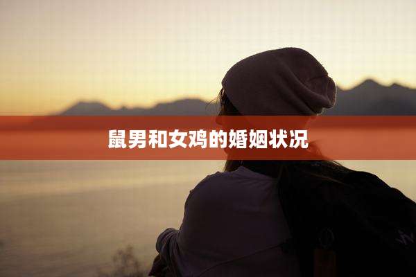鼠男和女鸡的婚姻状况