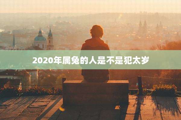 2020年属兔的人是不是犯太岁