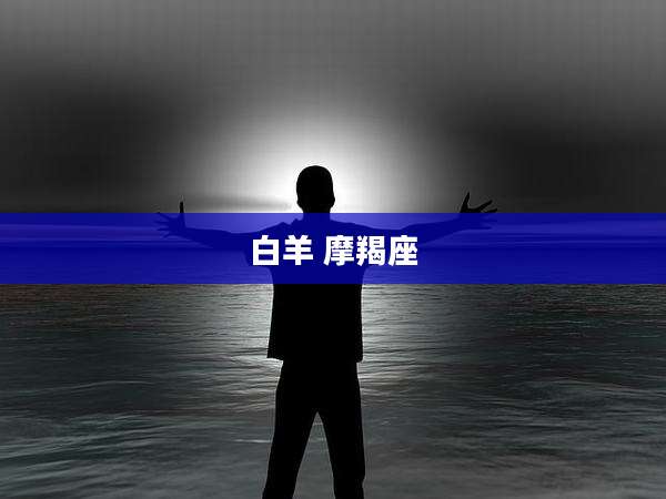 白羊 摩羯座