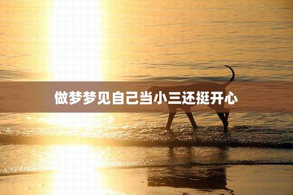 做梦梦见自己当小三还挺开心