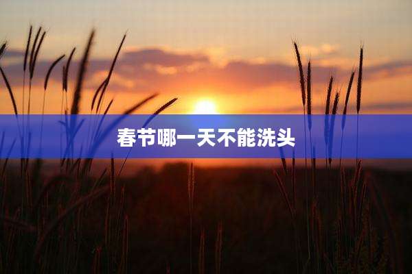 春节哪一天不能洗头