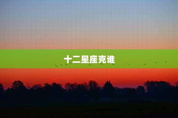 十二星座克谁