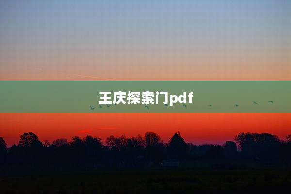 王庆探索门pdf