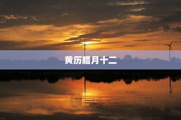 黄历腊月十二