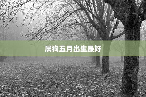 属狗五月出生最好