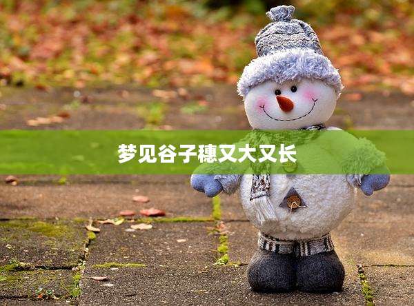 梦见谷子穗又大又长