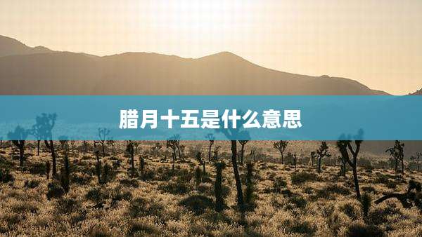 腊月十五是什么意思