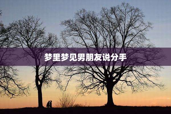 梦里梦见男朋友说分手