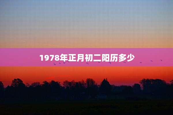1978年正月初二阳历多少