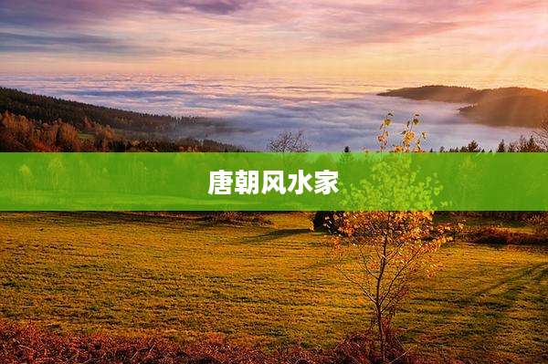 唐朝风水家