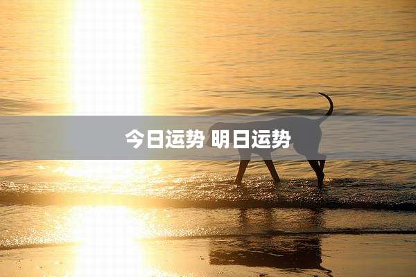 今日运势 明日运势