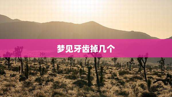 梦见牙齿掉几个