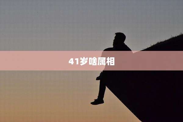 41岁啥属相