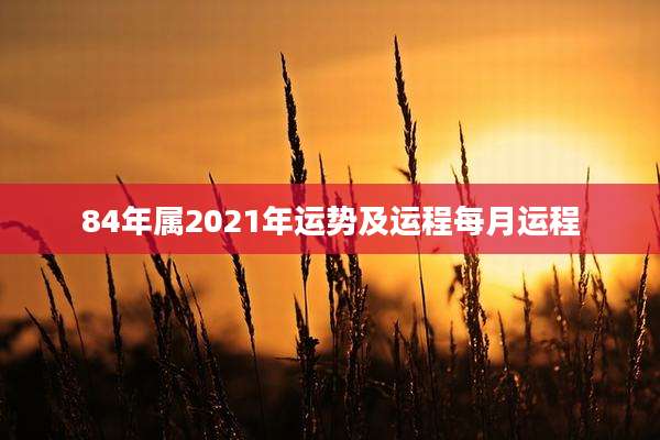 84年属2021年运势及运程每月运程