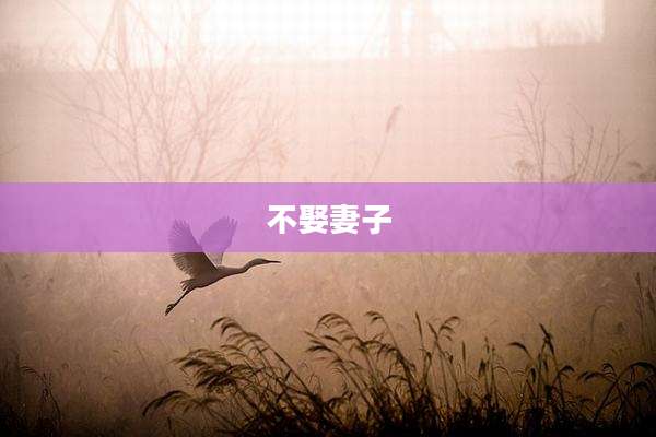 不娶妻子