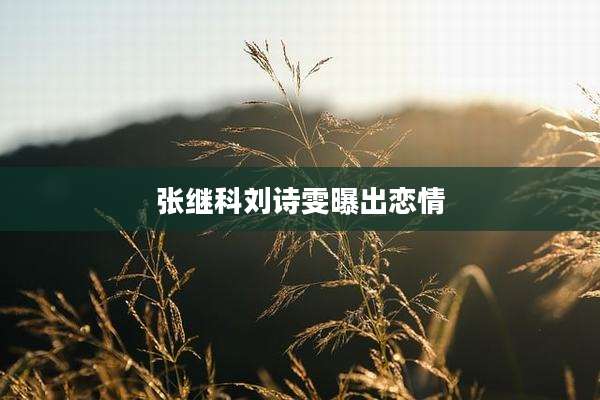 张继科刘诗雯曝出恋情